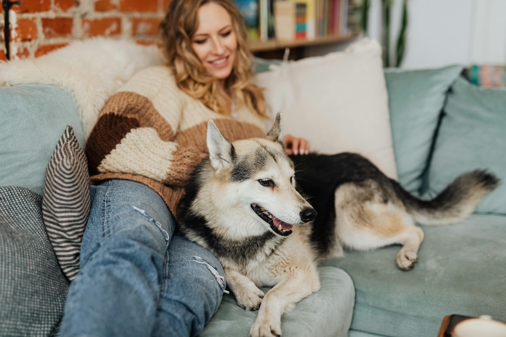 Why Joining Clubs is Beneficial for All Dogs and Owners in California
